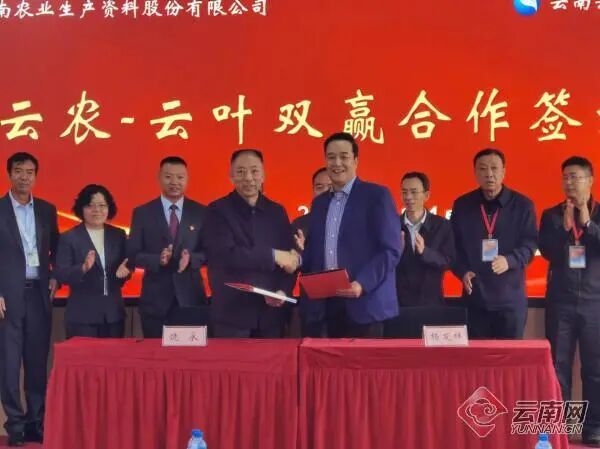 云南网 | 云南供销系统首个农资联合生产基地成立