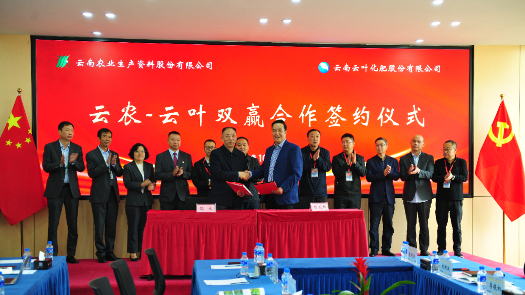 云叶股份&云农股份2025年度总结活动圆满结束